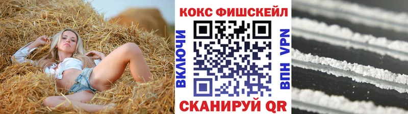 Cocaine FishScale  Купить  Краснокаменск 