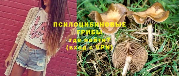 jwh Горняк