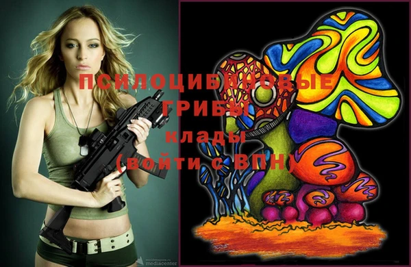 jwh Горняк
