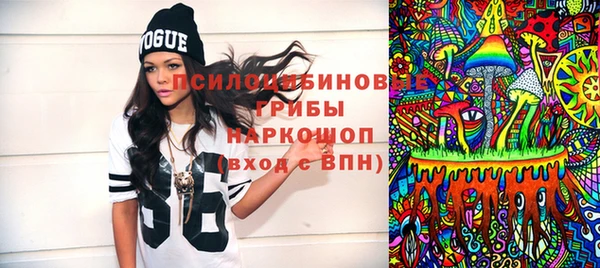 мдпв Горнозаводск