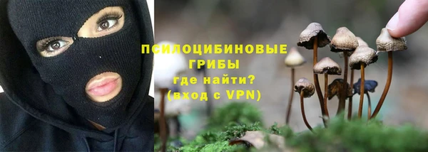 альфа пвп Горно-Алтайск