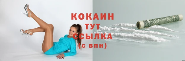 jwh Горняк