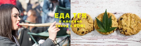 мдпв Горнозаводск